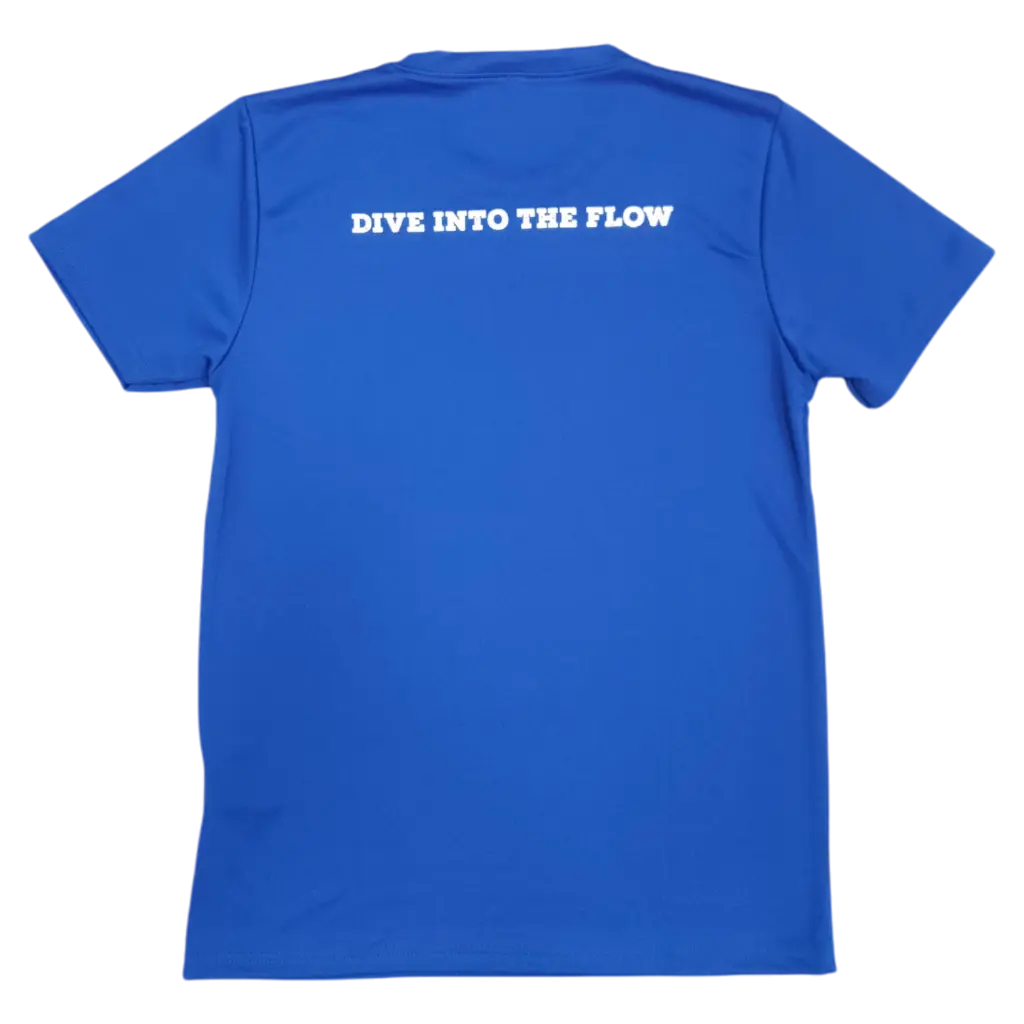 CCSS COLOUR TEE BLUE BACK.webp