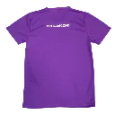 CCSS COLOUR TEE PURPLE BACK.webp