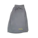 CGSS PE SHORTS (NEW) SIDE.webp
