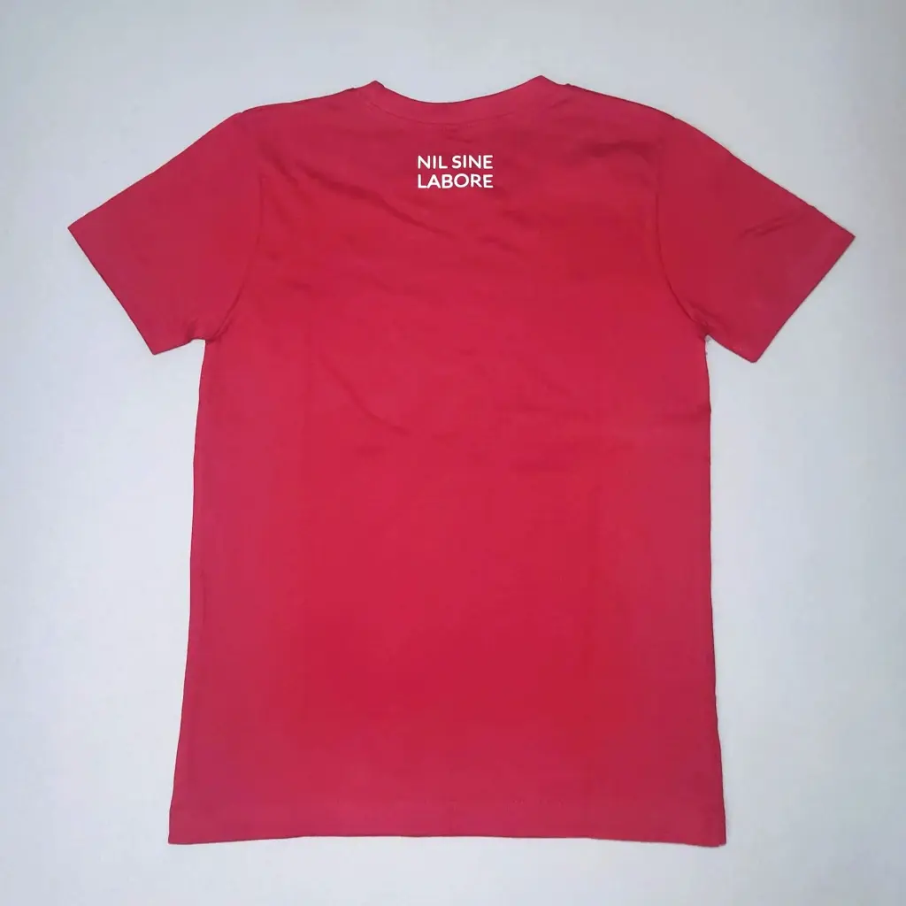 VTJC T-SHIRT COHORT MAROON BACK.webp