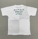 BENP T-SHIRT GREEN BACK.webp