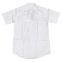 sji_shirt2.webp