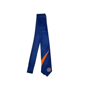 APSN TIES