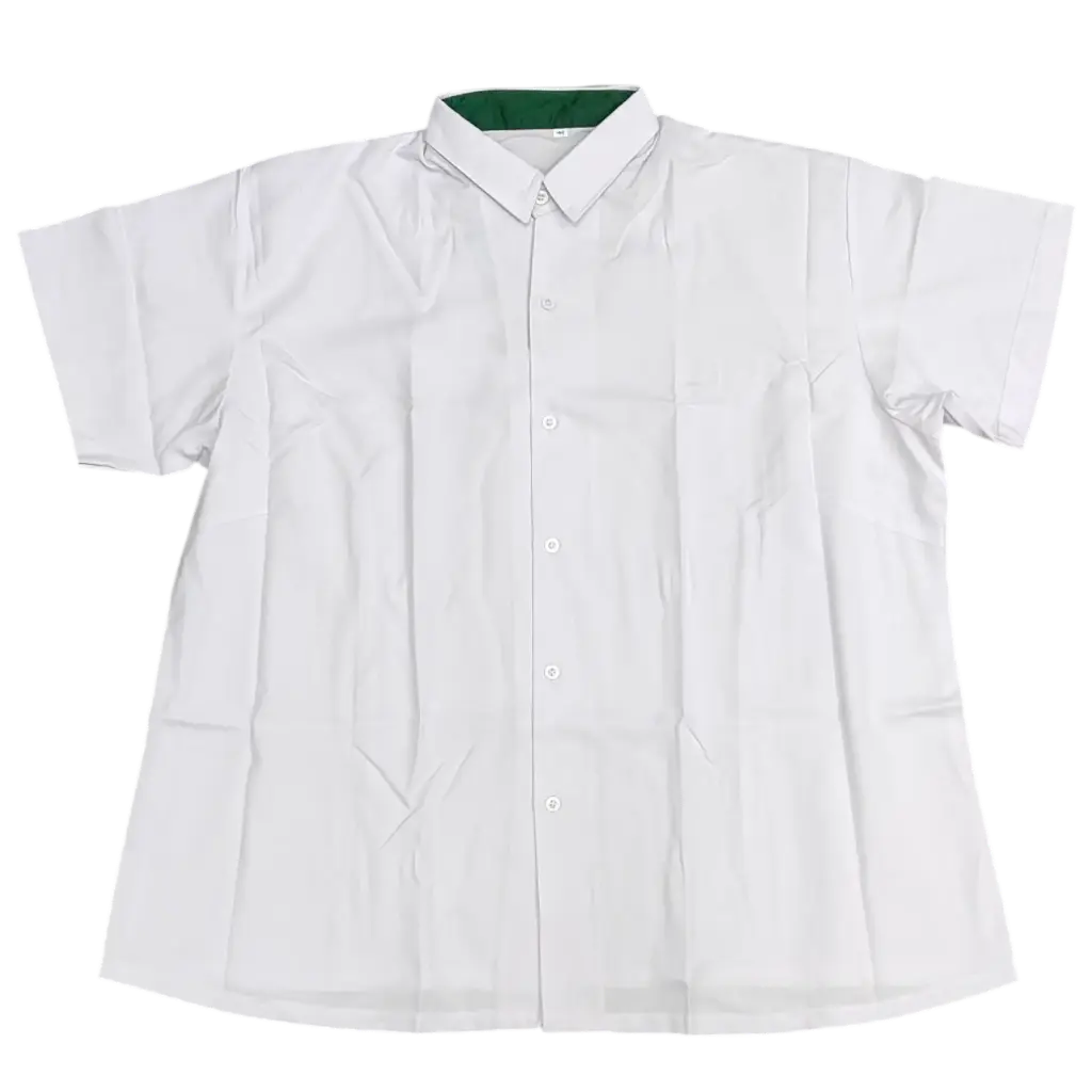 SJI BLOUSE (JC)