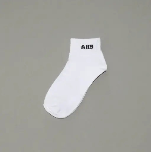 AGHS SOCKS