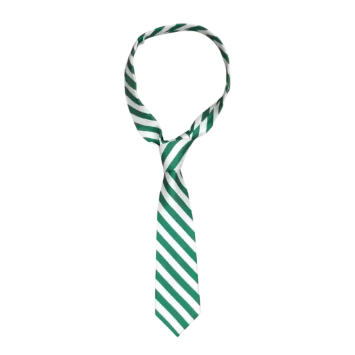 [SJIx1017SEC-FREEx] SJI TIES (SEC)