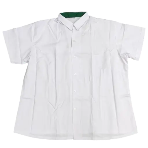 SJI BLOUSE (JC)
